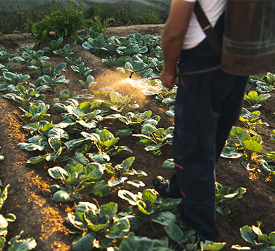 Global Herbicides Market 2019-2023